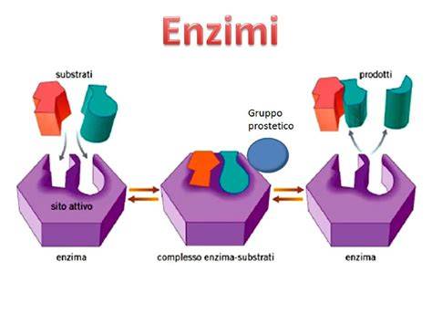 grafico composizione proteica delle formule Nidina