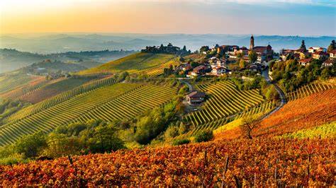 Passeggiate Langhe family-friendly