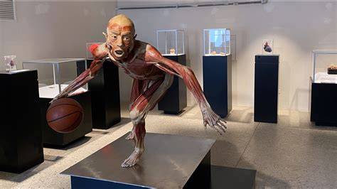 Mostra Real Bodies sezione Immortalità illustrazione