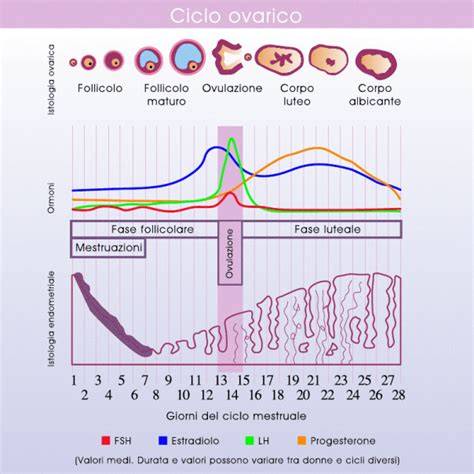 grafico ormoni ovulatori