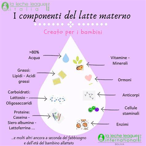 Ki67 proliferazione cellule studio latte materno