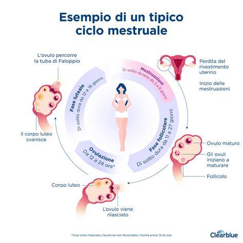 diagramma ciclo mestruale e tempistiche impianto