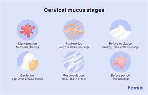SHOW showing fertile cervical changes