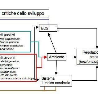 rappresentazione grafica della relazione complessa in famiglia