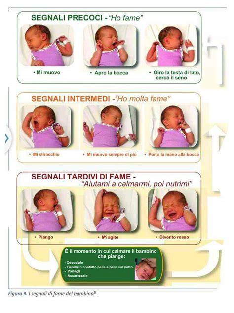 infografica segnali fame neonato