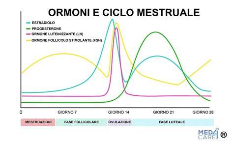 grafico circolazione ormoni durante PMA