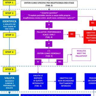 schema percorso assistenziale MEF