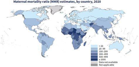 mappa globale mortalità in utero e interventi efficaci
