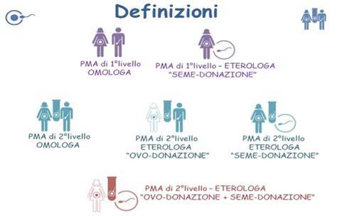 figura sull’età e tipologie di PMA