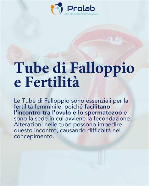 diagramma anatomia tube Falloppio (ottimale per la fertilità)