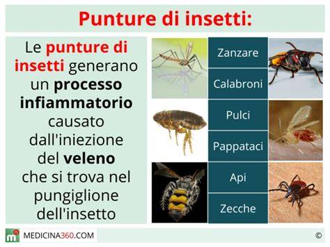 rimedi punture insetti bambini