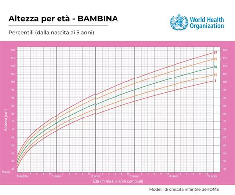 grafico confronto gruppi età altezza peso