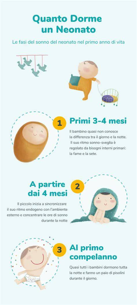 Immagine: schema del sonno del neonato