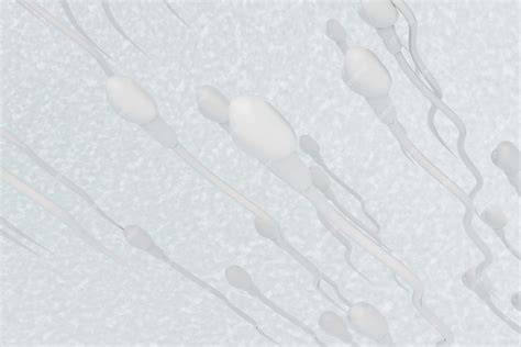Dispositivo silicio-vetro per spermatozoi attivi