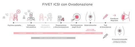 Schema processo FIVET-ICSI