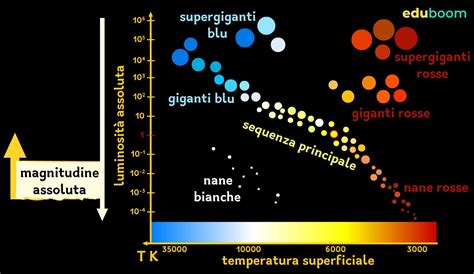 diagramma lineare delle fasi latitanza Bertulazzi