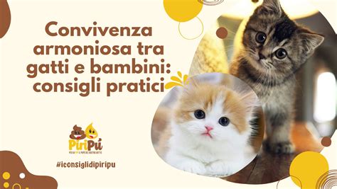 testimonianze convivenza gatti bambini