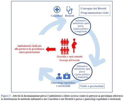 diagramma trasmissione botanica pertosse