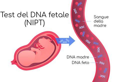 DNA fetale NIPT e spiegazione concettuale