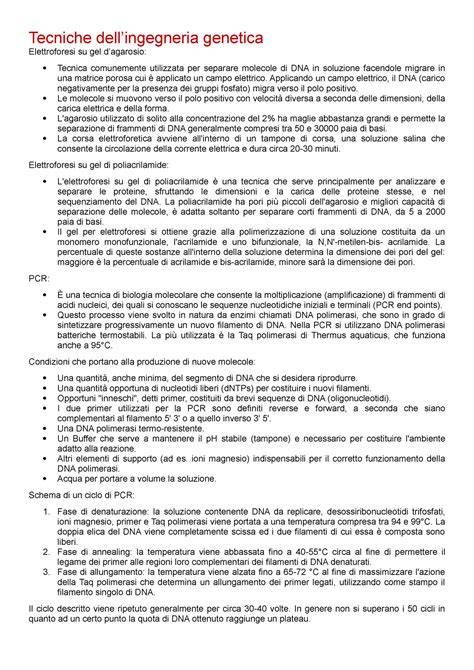 Schema delle operazioni base dell'ingegneria genetica