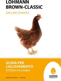 schema alimentazione galline ovaiole