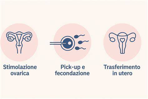 diagramma delle fasi PMA e trasferimento embrioni