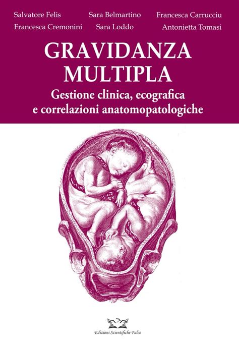 ricerca immagini su gravidanza multipla (gestione familiare e lavoro)