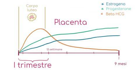 Beta-HCG e condizioni non gravidiche