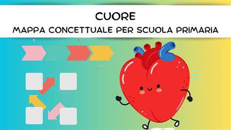 mappa eometria cuore fetale